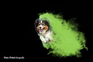 29958669_2220694678402074_3203015505508364055_n