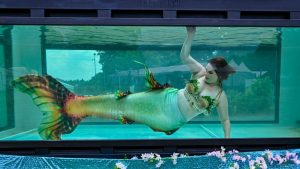 518007950_10222590759556704_34783943932403121_n